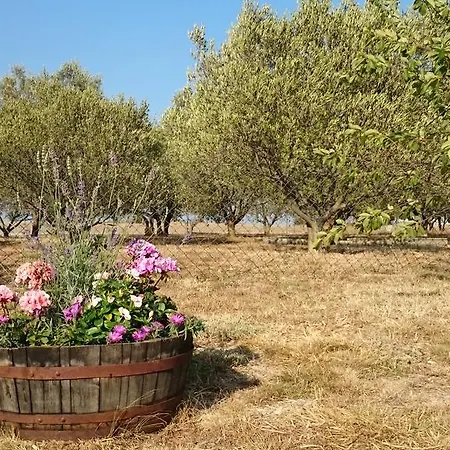 アパート Sunset *